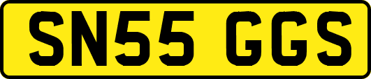 SN55GGS