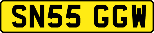 SN55GGW