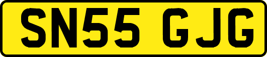 SN55GJG