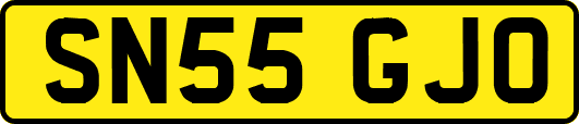 SN55GJO