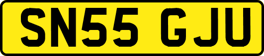 SN55GJU