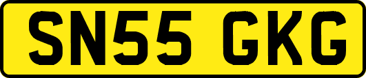 SN55GKG