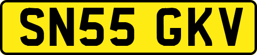 SN55GKV