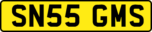 SN55GMS