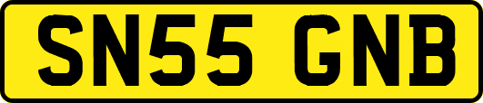 SN55GNB