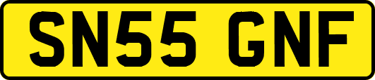 SN55GNF