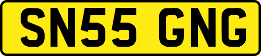 SN55GNG