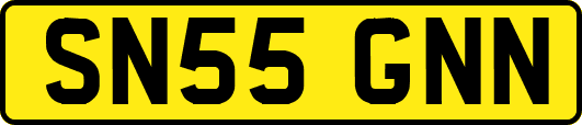 SN55GNN