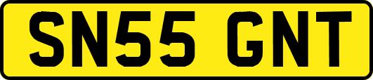 SN55GNT
