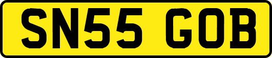SN55GOB
