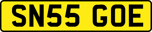 SN55GOE