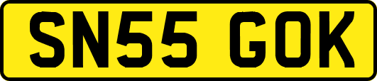 SN55GOK