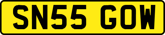 SN55GOW