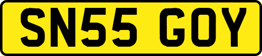 SN55GOY