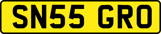 SN55GRO