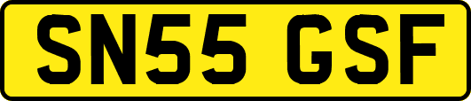 SN55GSF