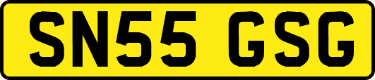 SN55GSG