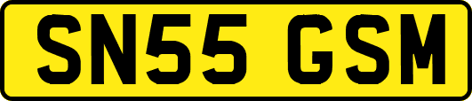 SN55GSM