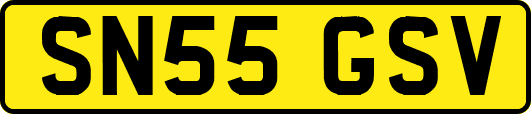 SN55GSV