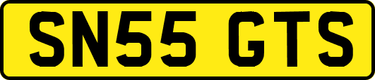 SN55GTS