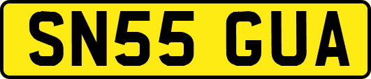 SN55GUA