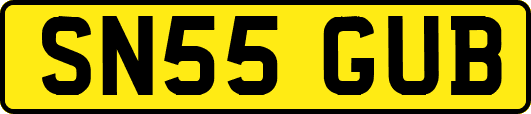 SN55GUB