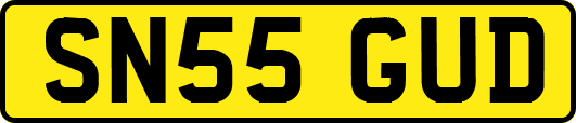 SN55GUD