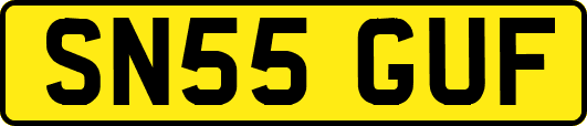 SN55GUF