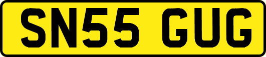 SN55GUG