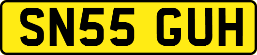 SN55GUH