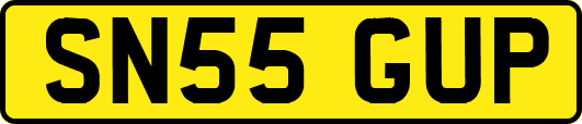 SN55GUP