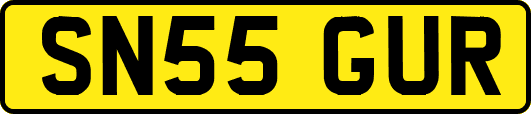 SN55GUR