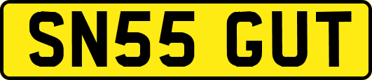 SN55GUT