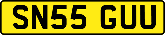 SN55GUU