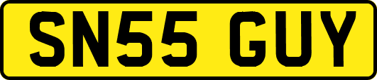 SN55GUY