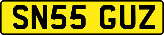 SN55GUZ