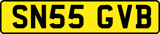 SN55GVB