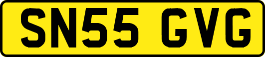 SN55GVG