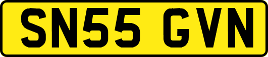 SN55GVN