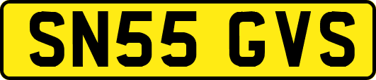 SN55GVS