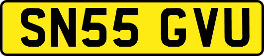 SN55GVU