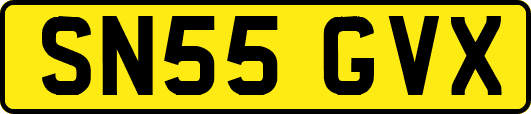 SN55GVX