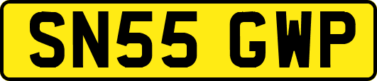 SN55GWP