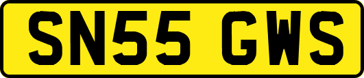 SN55GWS