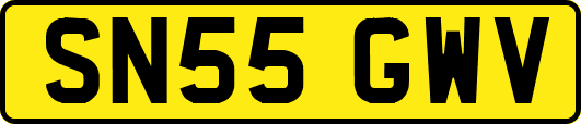 SN55GWV