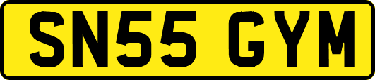 SN55GYM