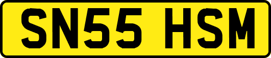 SN55HSM