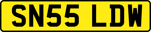SN55LDW