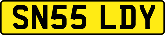 SN55LDY