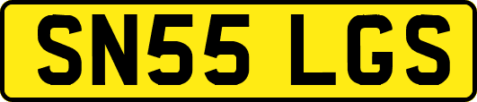 SN55LGS